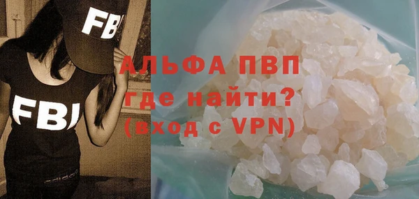 метадон Богданович