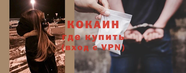 метадон Богданович