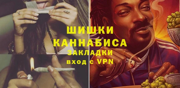 метадон Богданович