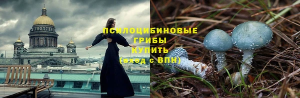 метадон Богданович