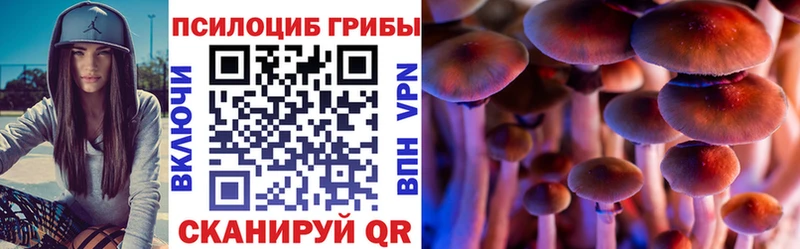 Галлюциногенные грибы Cubensis  где купить наркоту  Вязники 