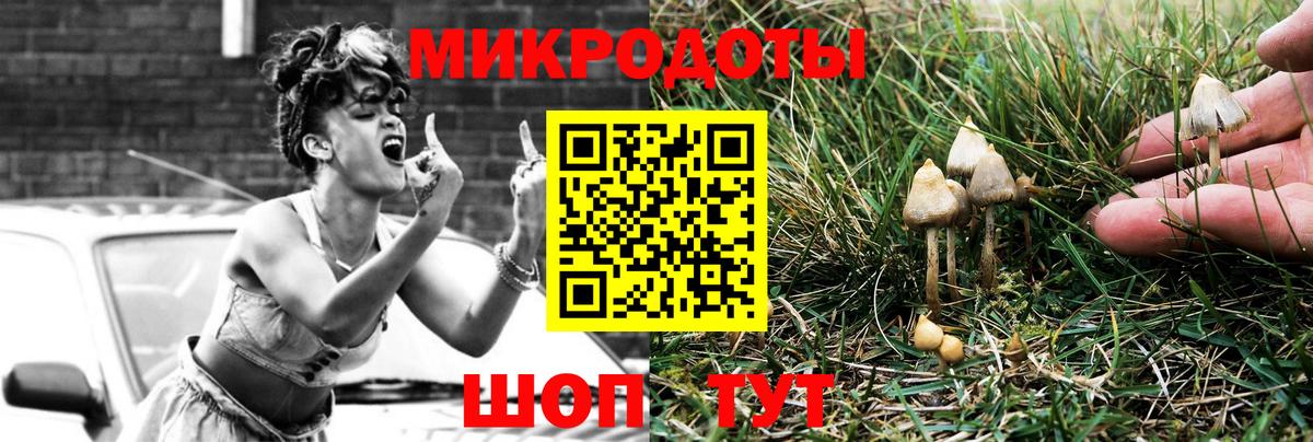 Псилоцибиновые грибы Magic Shrooms Вязники
