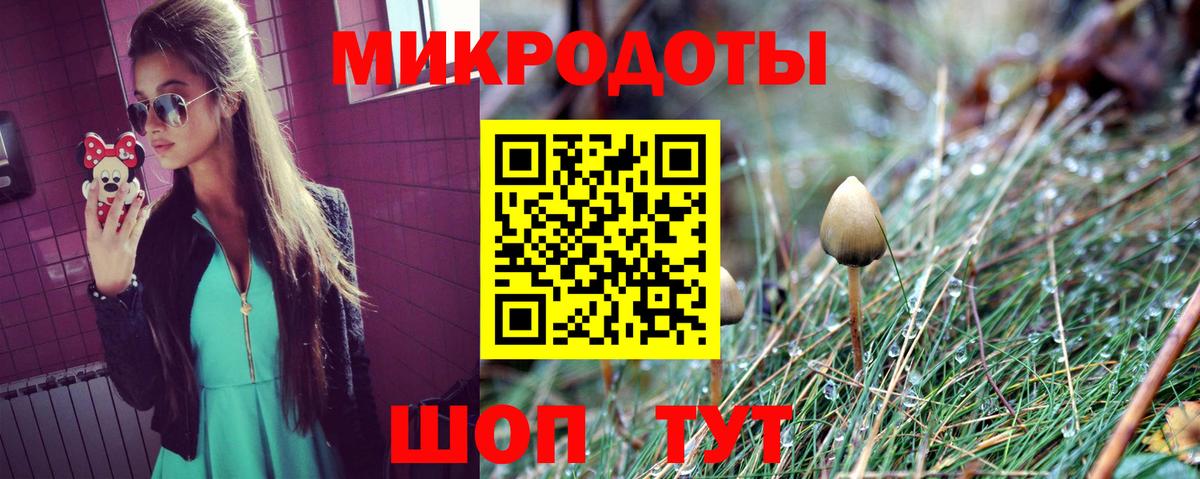 Псилоцибиновые грибы прущие грибы  Вход с VPN  Галлюциногенные грибы прущие грибы  Вязники 