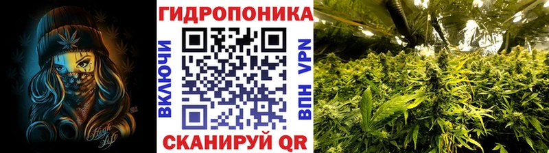 Конопля ГИДРОПОН  Вязники 